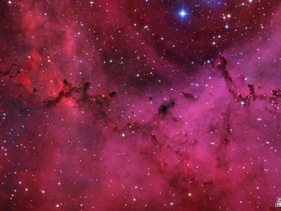Rosette Nebula Zoom
