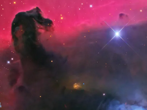 Horsehead Nebula Zoom Reverse enlarged
