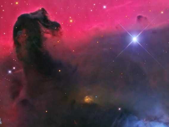 Horsehead Nebula Zoom Reverse enlarged