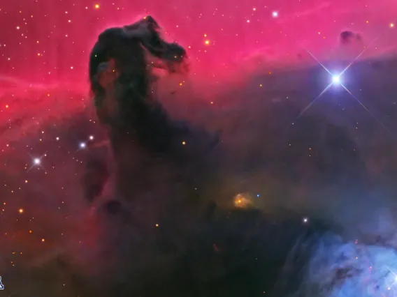 Horsehead Nebula Zoom - reversed