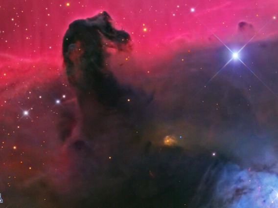 Horsehead Nebula Zoom - reversed