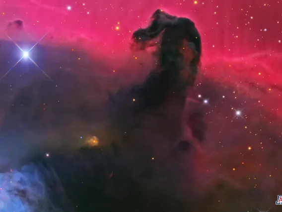 Horsehead Nebula