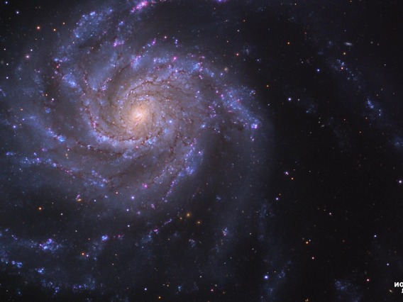 M101 - Reversed