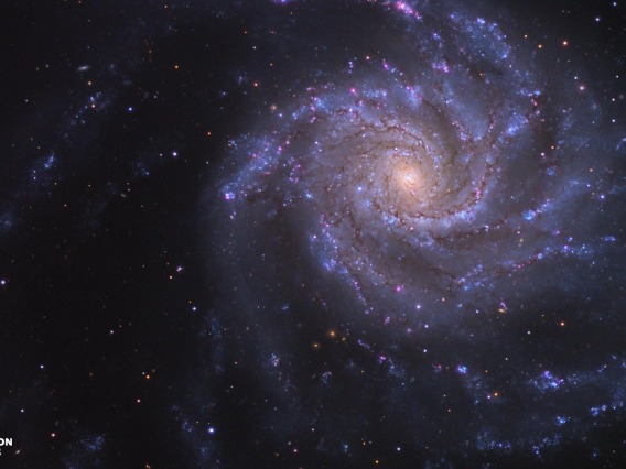M101 Zoom Background