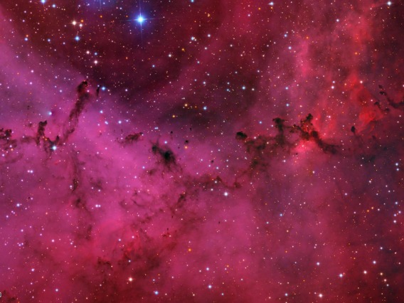 Rosette Nebula Zoom - Reversed
