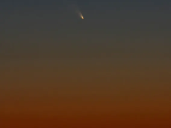 Panstarrs_03112013s