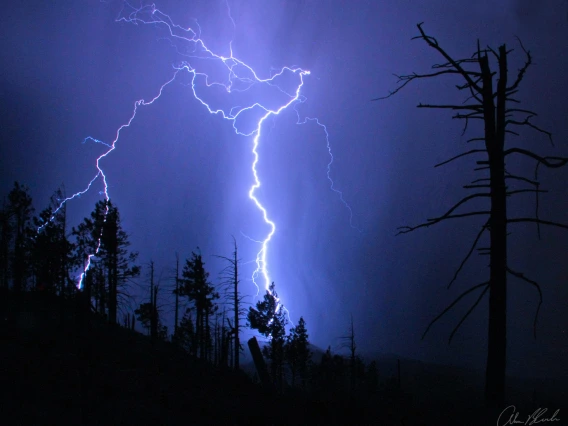 brightlightnings.jpg