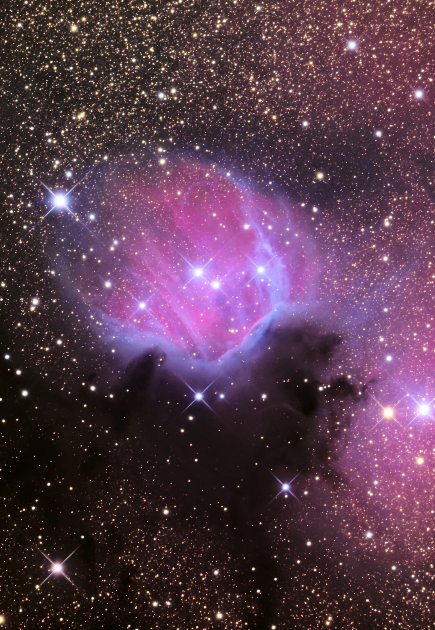 ic1274.jpg.webp?itok=8F-2WlRv