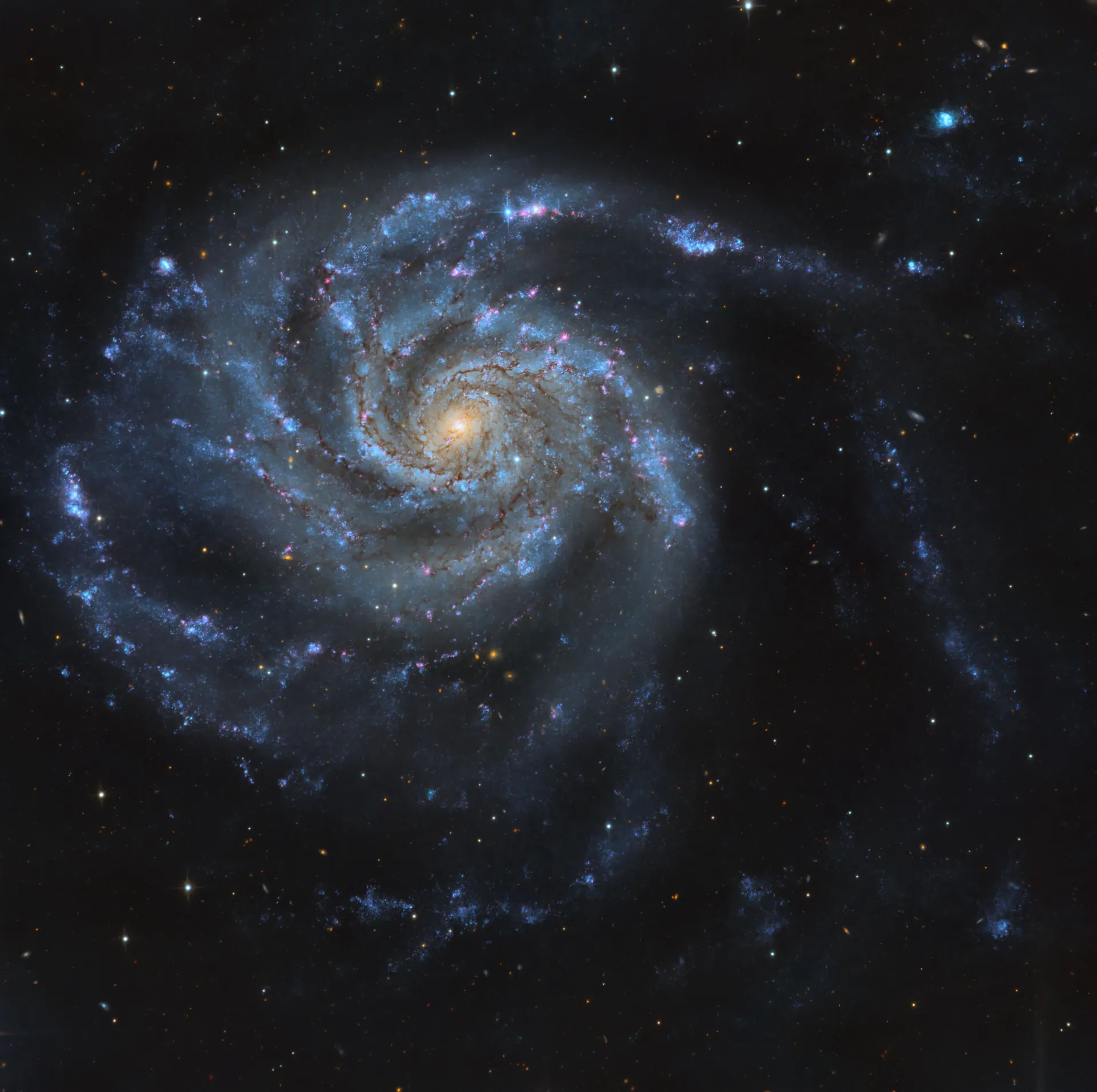Messier 101 with SN 2023ixf